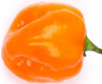 Sweet Imposter Pepper Seeds - The Pepper Pantry (Formerly Marie Sharp's)